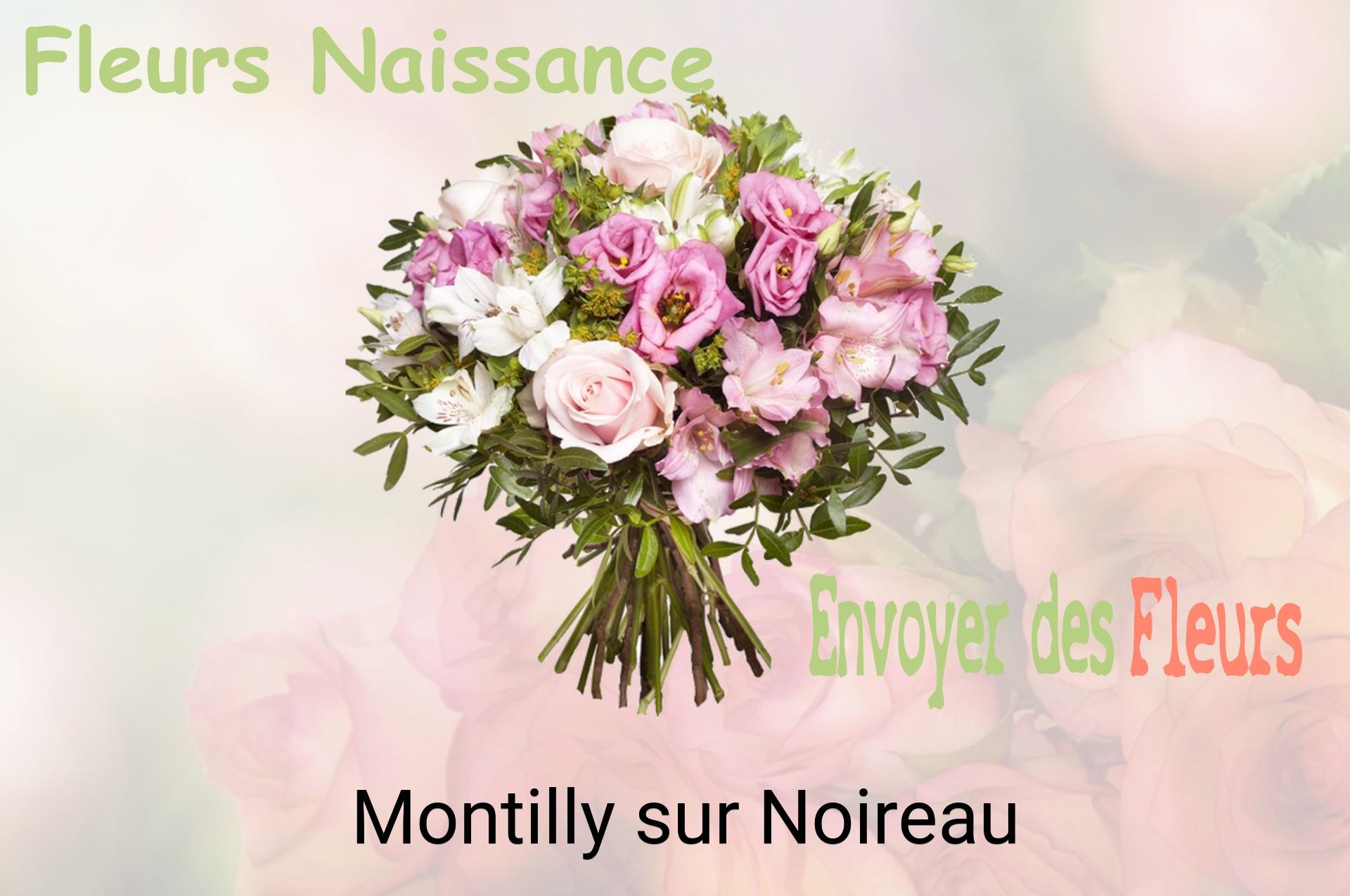 Bouquet de fleurs de naissance livré à Montilly-sur-Noireau